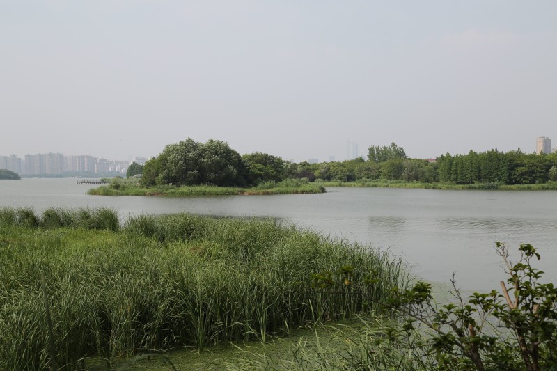 蠡湖风景区.jpg